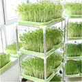 Kệ trồng rau mầm lắp ghép 4 tầng 4 chậu - Ảnh 2