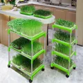 Kệ trồng rau mầm lắp ghép 4 tầng 4 chậu - Ảnh 3