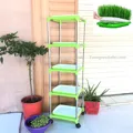 Bộ giá kệ trồng rau mầm lắp ghép tiện lợi - Ảnh 6