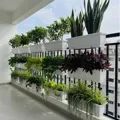 Móc treo 3 tầng trồng cây 67x24 - Ảnh 3