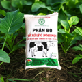 Phân bò đã xử lý hoai mục bổ sung humic bao 10kg - Ảnh 4