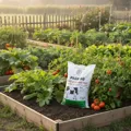 Phân bò Quế Lâm đã xử lý hoai mục bổ sung humic bao 10kg - Ảnh 4