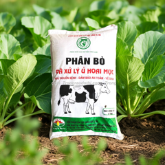Phân bò Quế Lâm đã xử lý hoai mục bổ sung humic bao 10kg