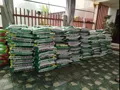 Phân bón vi sinh Sông Gianh HC-15 dùng bón lót cải tạo đất - Ảnh 3