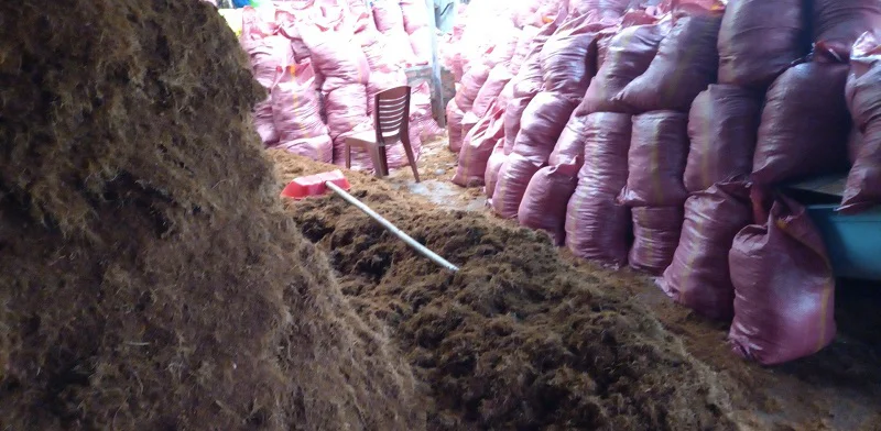 Mụn dừa, xơ dừa giá xưởng