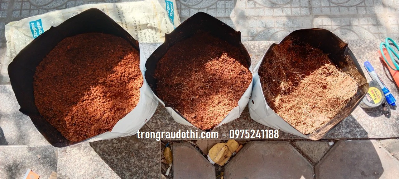 Các mẫu mụn dừa, xơ dừa trồng cây