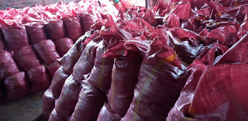 Xơ dừa, mụn dừa trồng cây tại xưởng