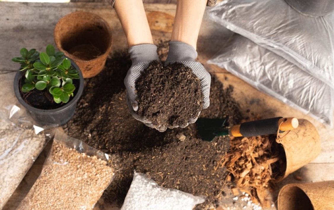 Giá thể trồng cây là gì? Vì sao ngày càng nhiều người lựa chọn