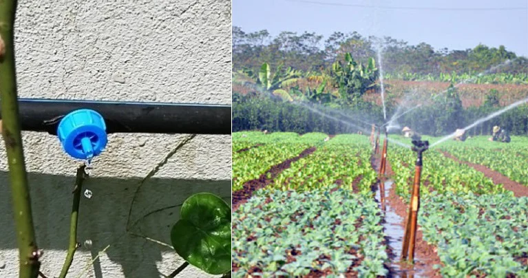 Hướng dẫn thiết kế và lắp đặt hệ thống tưới nhỏ giọt