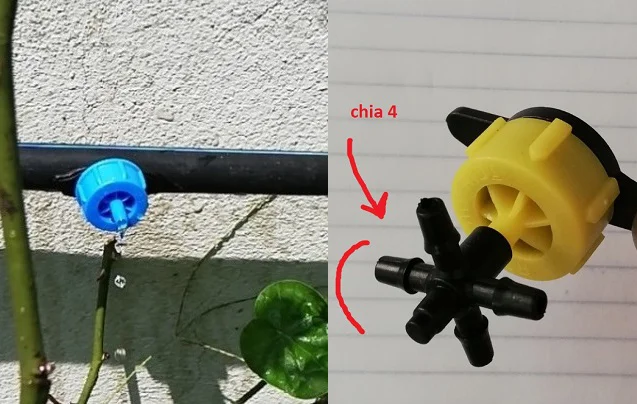 Béc tưới cây nhỏ giọt cùng phụ kiện chia nước 4 hướng