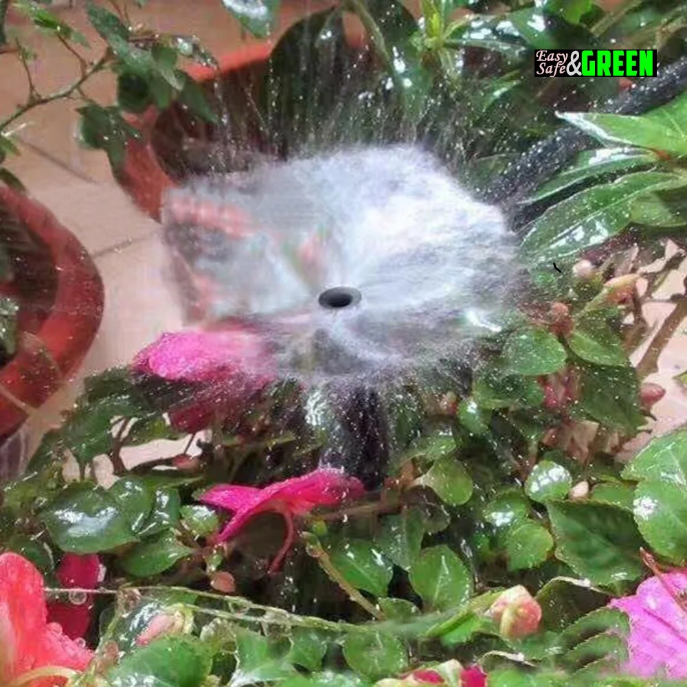 Béc tưới xòe đang hoạt động trong hệ thống tưới hoa màu