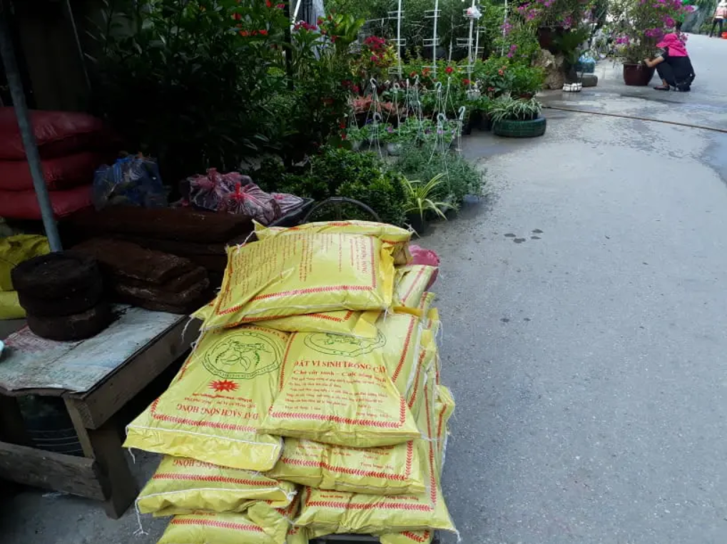 Một cửa hàng bán hoa và cây cảnh