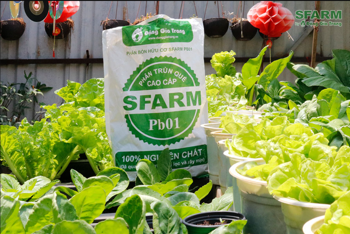 Phân trùn quế Đặng Gia Trang Sfarm pb-01