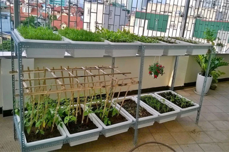 Kệ trồng rau 2 tầng đứng làm bằng thép V lỗ